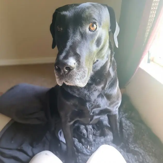 zeus